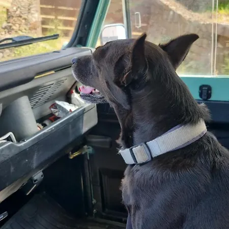 Scauribasso14 4* Scauri (Sicily)