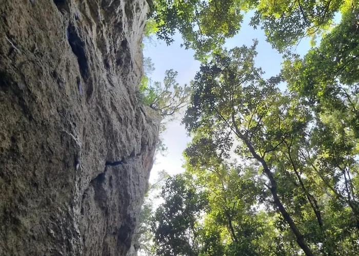 Scauribasso14 מלון דירות